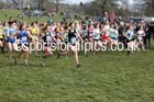 Womens under-17s 2016 Inter Counties Cross Country Champs. and Cross Challenge Final, Cofton Park, Birmingham. Photo: David T. Hewitson/Sports for All Pics
